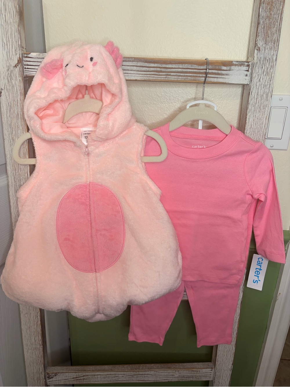 💕 Carter’s Axolotl Halloween Costume Baby Girl 12M NWT
